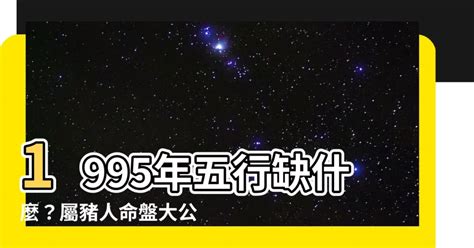 屬豬五行缺什麼|屬豬五行缺什麼？深入解析與運勢調整